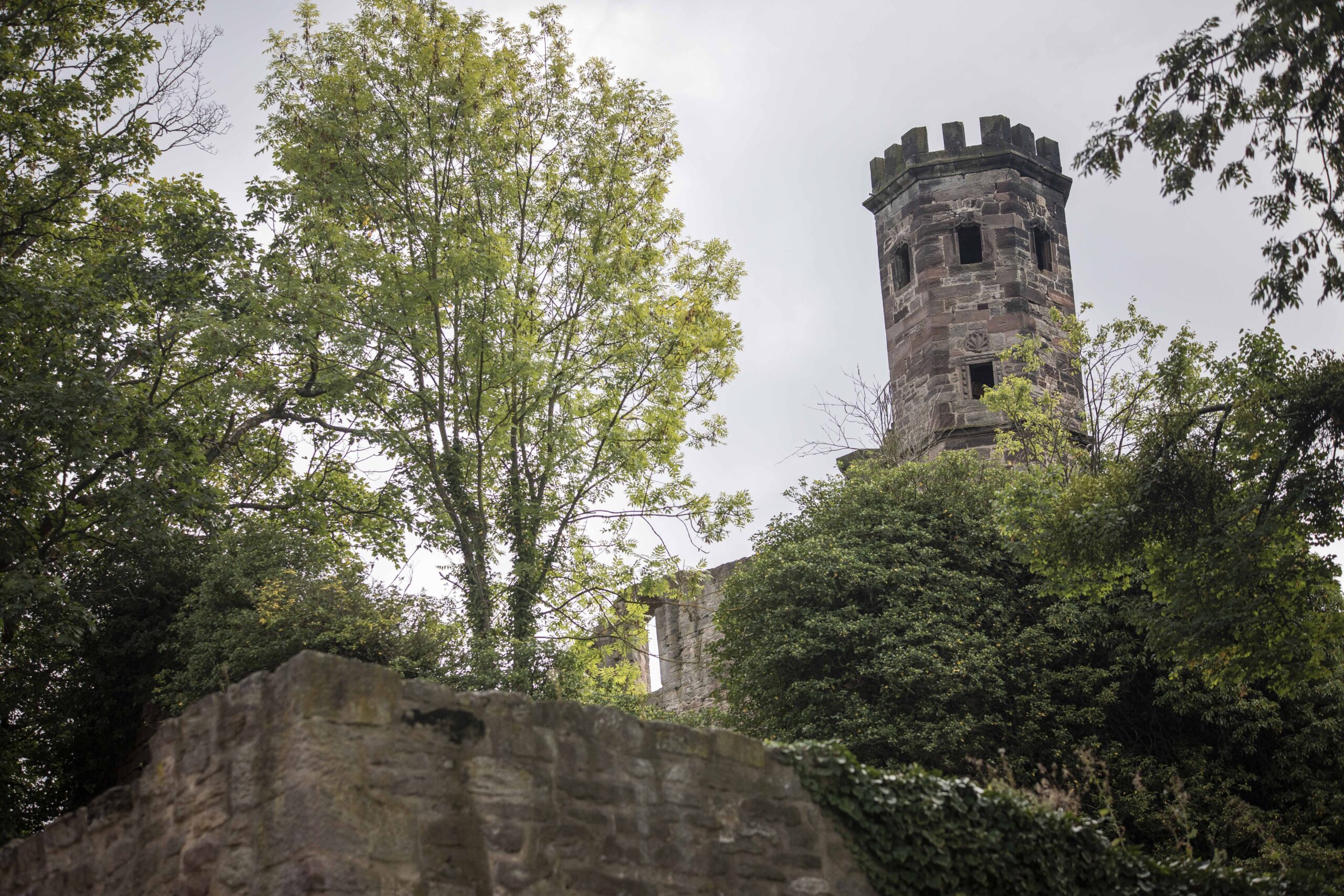 Burgruine Hardenberg