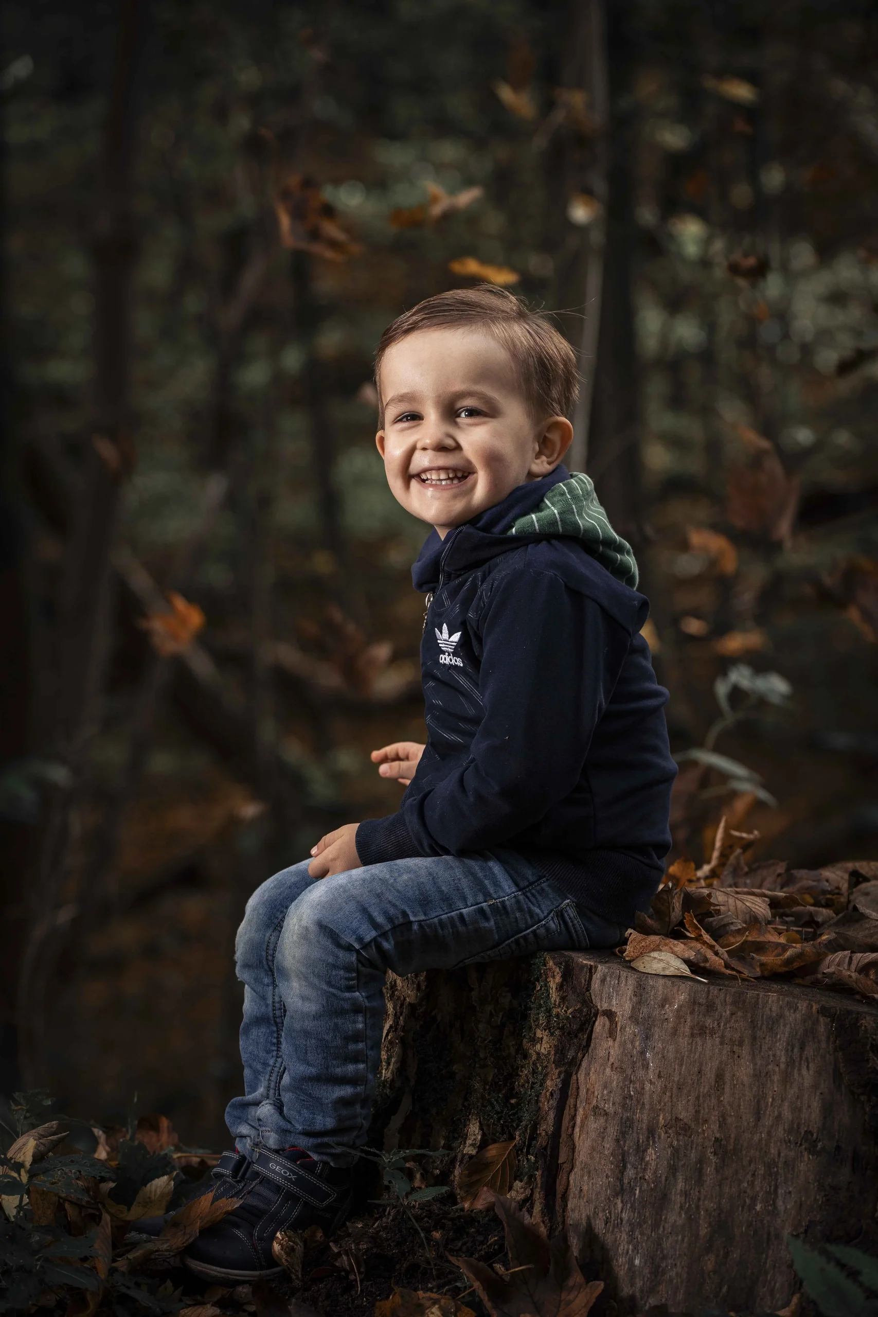 Junge sitzt für ein Kinderfoto auf einem Baumstumpf und blickt in die Kamera.
